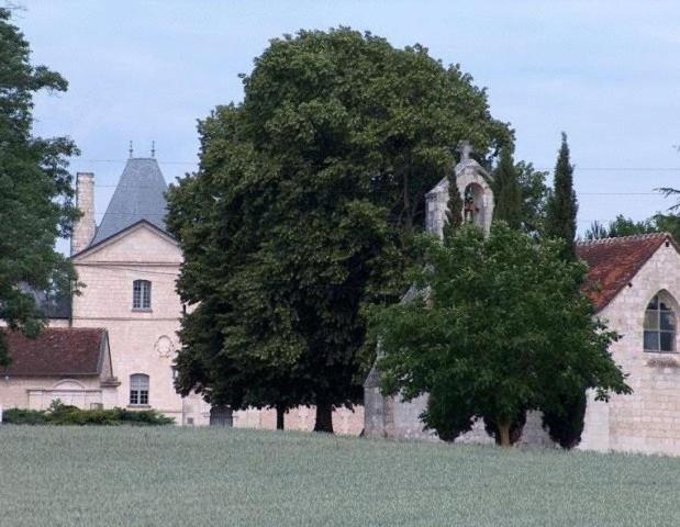 Chateau De Charge Hotell Tours Eksteriør bilde
